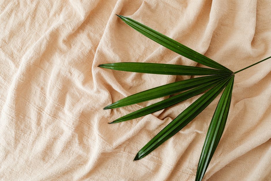A minimalist close-up of a bamboo leaf on beige fabric, emphasizing simplicity and nature.